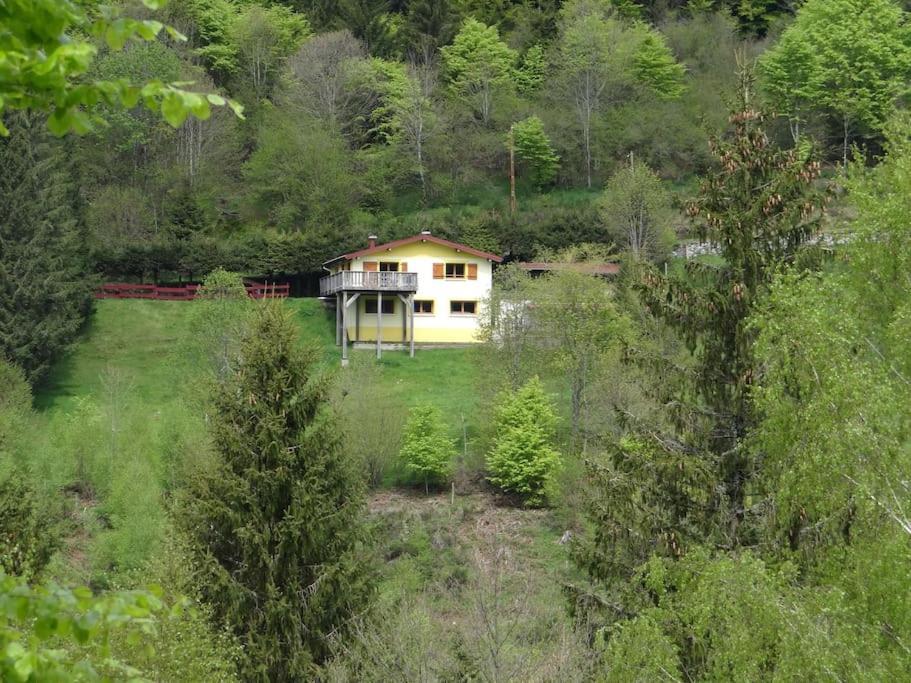 Maison De Montagne Vue Magnifique Ventron Ngoại thất bức ảnh